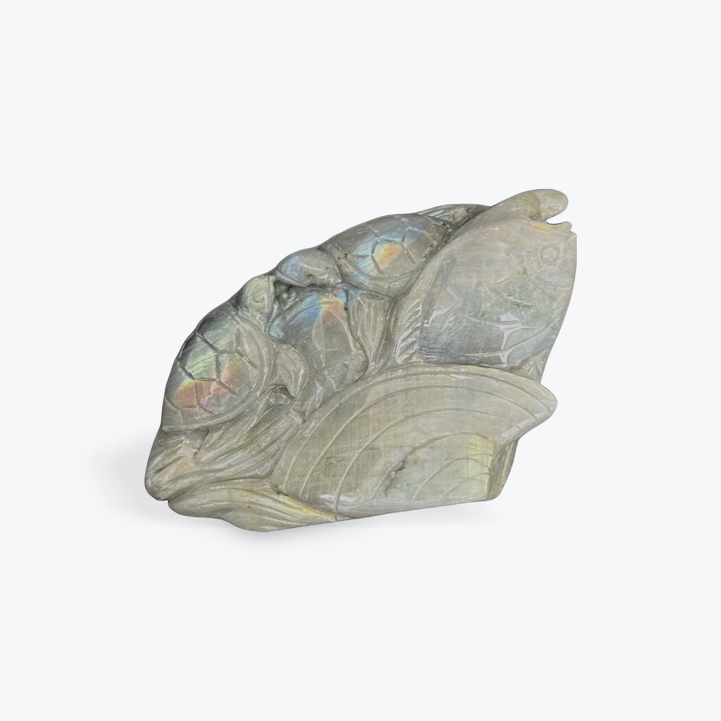 Labradorite Sea Life Carving