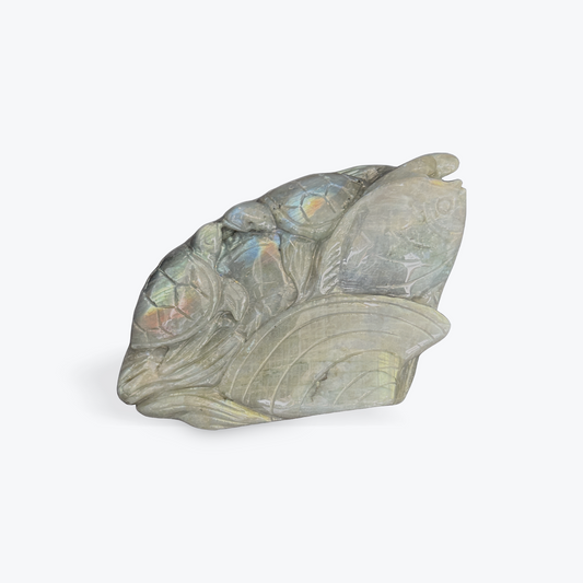 Labradorite Sea Life Carving