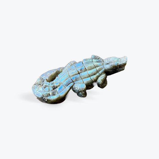 Labradorite Alligator