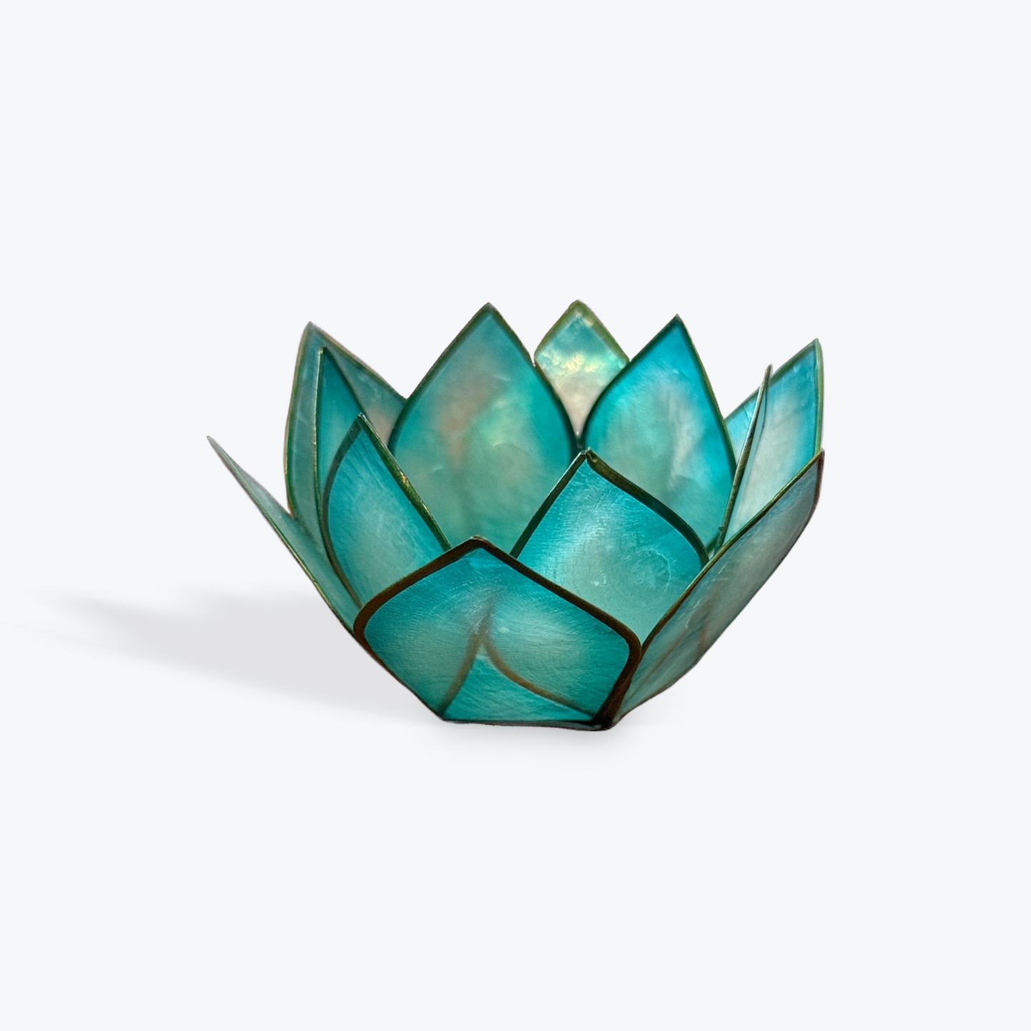 Natural Shell Mini Tea Light Holder