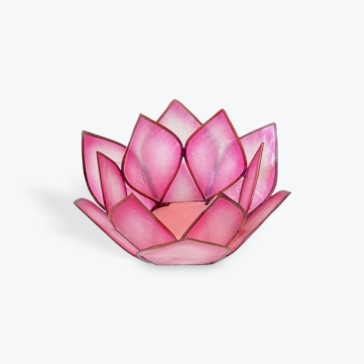 Natural Shell Mini Tea Light Holder